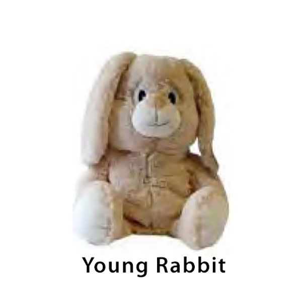 young-rabbit